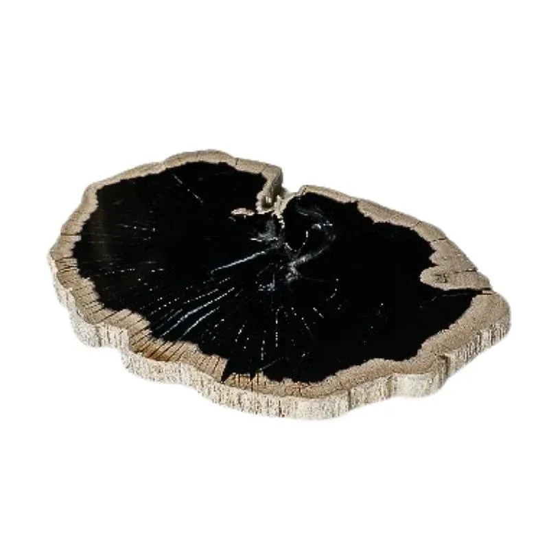 Tablett – Versteinertes Holz, Organische Scheibenform, Schwarze Oberfläche – Dalva | PTMD