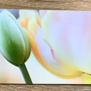 Postkarte Tulpenliebe II (art+nature) B6