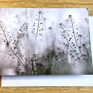 Beileidskarte Hirtentäschel schwarz-weiß (art+nature)