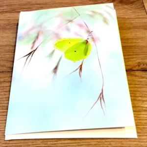 Briefkarte „Schwerelos“ (art+nature)