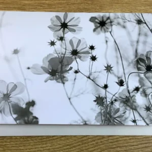 Beileidskarte Cosmeen schwarz-weiß (art+nature) mit Einleger