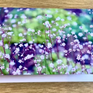 Briefkarte Porzellanblümchen (art+nature)