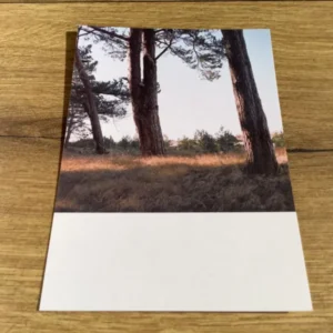 Postkarte Jennifer Deinzer Fotos A6° - Polly Paper - Umweltfreundliche Schreibwaren