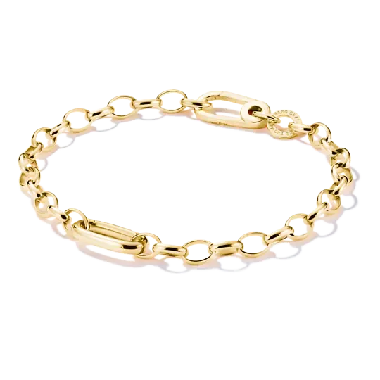 charm-armband-mit-einem-connect-link-vergoldet-c1202-413-39-l19