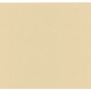 druckerpapier-chamois-160g
