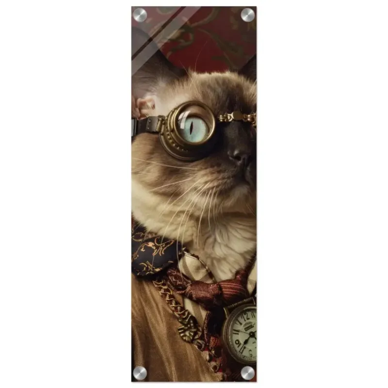 Schoolposter - Tonkinese Katze, Steampunk-Outfit, Plexiglasdruck | St Tropez Art