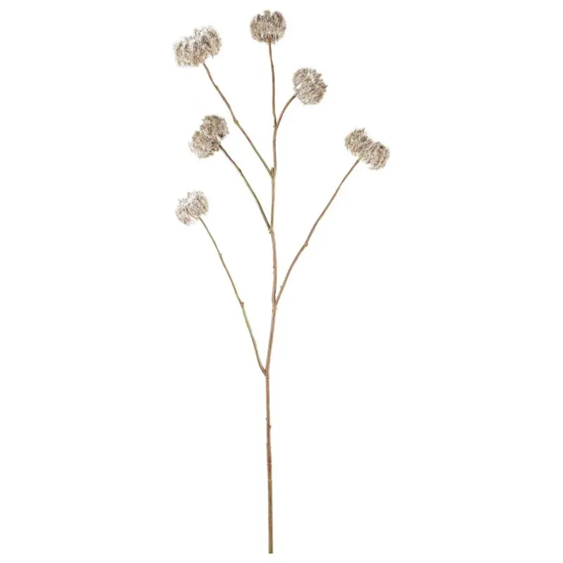 Kunstzweig – Kunststoff Material, Beige Farbe, Clematis Zweig | PTMD